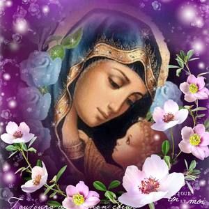 Meet your Posher, Nilda